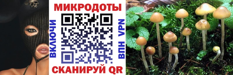 Купить закладки  Коммунар  Псилоцибиновые грибы Psilocybine cubensis 